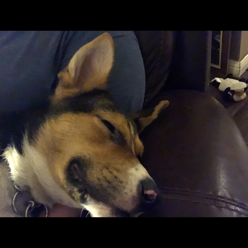 Meet your Posher, Cynde